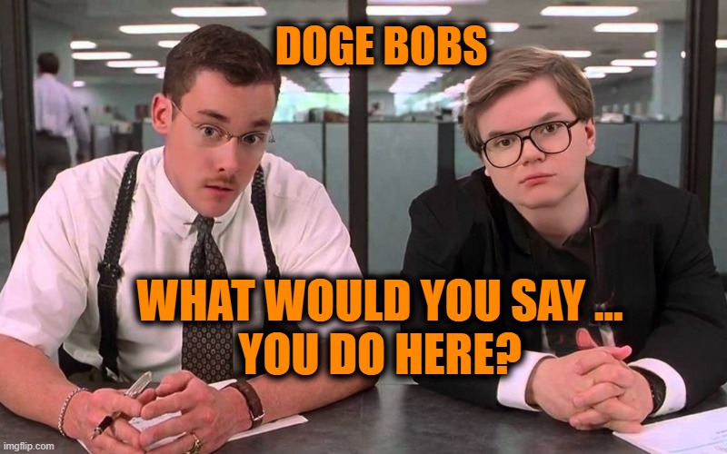 The Doge Bobs | DOGE BOBS; WHAT WOULD YOU SAY ...
YOU DO HERE? | image tagged in doge bobs,government,corruption,justice | made w/ Imgflip meme maker