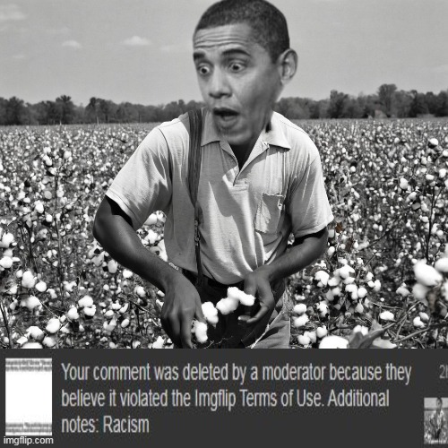 48 off 24 on 48 off quite a system | image tagged in cya monday | made w/ Imgflip meme maker