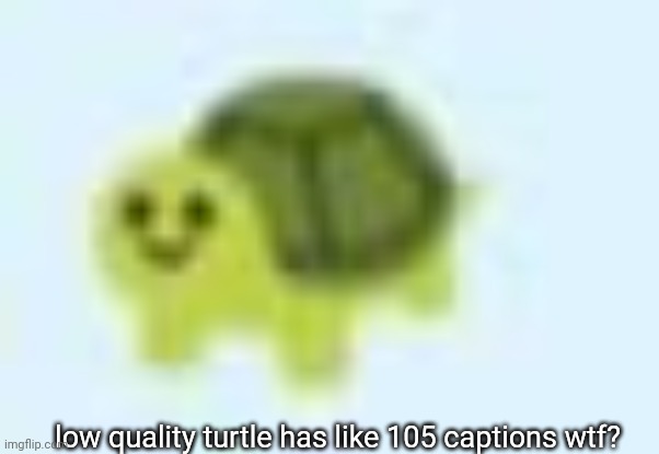 who captions this THAT much? | low quality turtle has like 105 captions wtf? | image tagged in low quality turtle | made w/ Imgflip meme maker