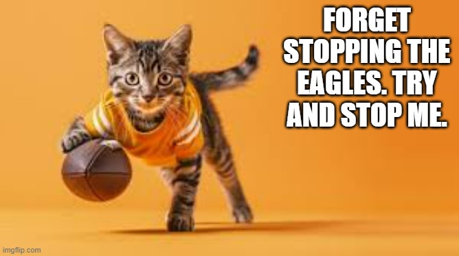 memes by Brad - My cat thinks he can't be stopped in football - Super Bowl - | FORGET STOPPING THE EAGLES. TRY AND STOP ME. | image tagged in cats,funny,fun,kitten,super bowl,nfl football | made w/ Imgflip meme maker