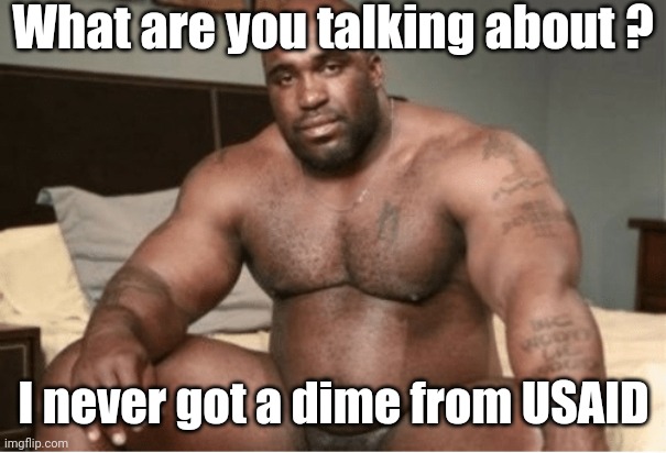 Big black guy big dick | What are you talking about ? I never got a dime from USAID | image tagged in big black guy big dick | made w/ Imgflip meme maker