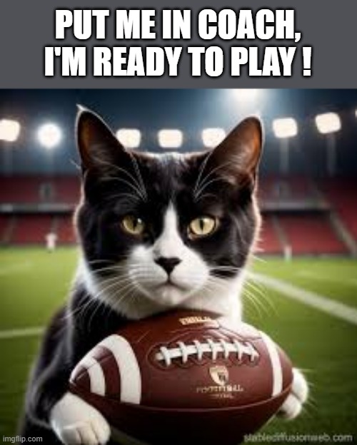 memes by Brad - My cat says "Put me in coach, I'm ready to play"  - Super Bowl - | PUT ME IN COACH, I'M READY TO PLAY ! | image tagged in cats,funny,kitten,super bowl,football,humor | made w/ Imgflip meme maker