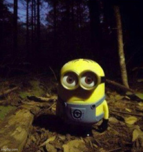 minion staring | image tagged in minion staring | made w/ Imgflip meme maker