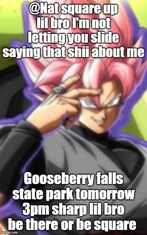 Smart goku black | @Nat square up lil bro I'm not letting you slide saying that shii about me; Gooseberry falls state park tomorrow 3pm sharp lil bro be there or be square | image tagged in smart goku black | made w/ Imgflip meme maker