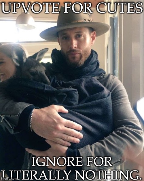 Jensen Ackles + Baby Kangaroo | UPVOTE FOR CUTES; IGNORE FOR LITERALLY NOTHING. | image tagged in jensen ackles,baby kangaroo,cute,adorable,upvote if you agree | made w/ Imgflip meme maker