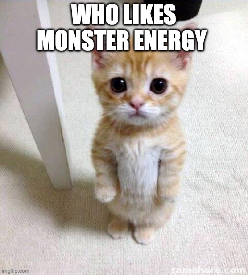 Cute Cat | WHO LIKES MONSTER ENERGY | image tagged in memes,cute cat | made w/ Imgflip meme maker