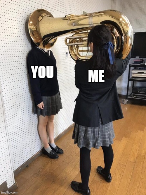 Girl Putting Tuba on Girl's Head | ME YOU | image tagged in girl putting tuba on girl's head | made w/ Imgflip meme maker