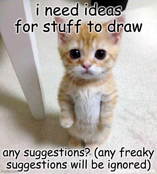 Cute Cat Meme | i need ideas for stuff to draw; any suggestions? (any freaky suggestions will be ignored) | image tagged in help | made w/ Imgflip meme maker