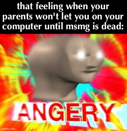 lmfao fr | that feeling when your parents won't let you on your computer until msmg is dead: | image tagged in surreal angery | made w/ Imgflip meme maker