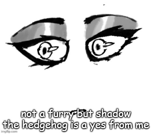 id hit | not a furry but shadow the hedgehog is a yes from me | image tagged in 3 | made w/ Imgflip meme maker