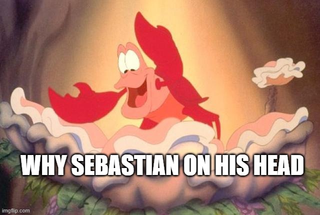 sebastian | WHY SEBASTIAN ON HIS HEAD | image tagged in sebastian | made w/ Imgflip meme maker