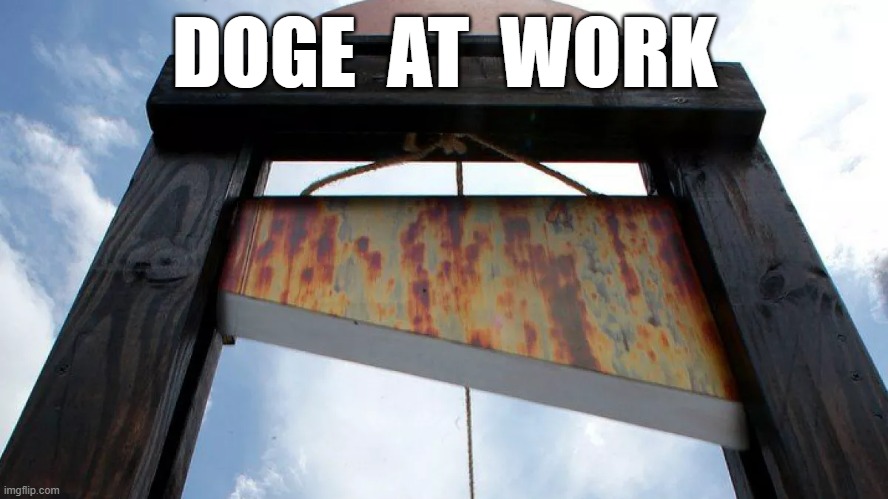 Department of Government Executions | DOGE  AT  WORK | image tagged in doge | made w/ Imgflip meme maker