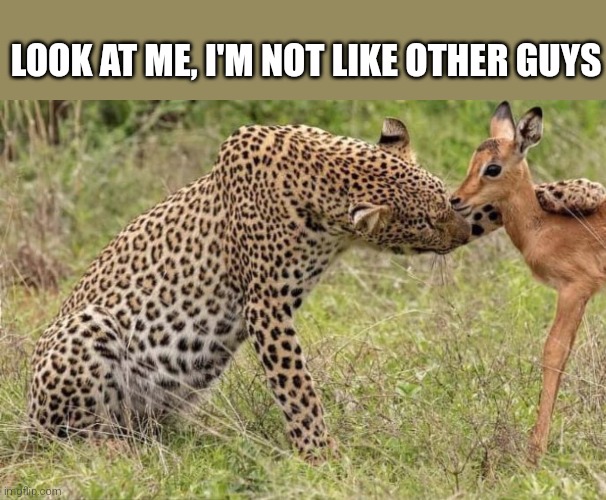 hmmm | LOOK AT ME, I'M NOT LIKE OTHER GUYS | image tagged in original cheetah petting deer meme | made w/ Imgflip meme maker