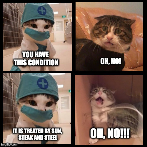 Reaction to carnivore diet recommendation | YOU HAVE 
THIS CONDITION; OH, NO! OH, NO!!! IT IS TREATED BY SUN, 
STEAK AND STEEL | image tagged in carnivore,diet,lifestyle,chronic condition,illness,sun steak steel | made w/ Imgflip meme maker