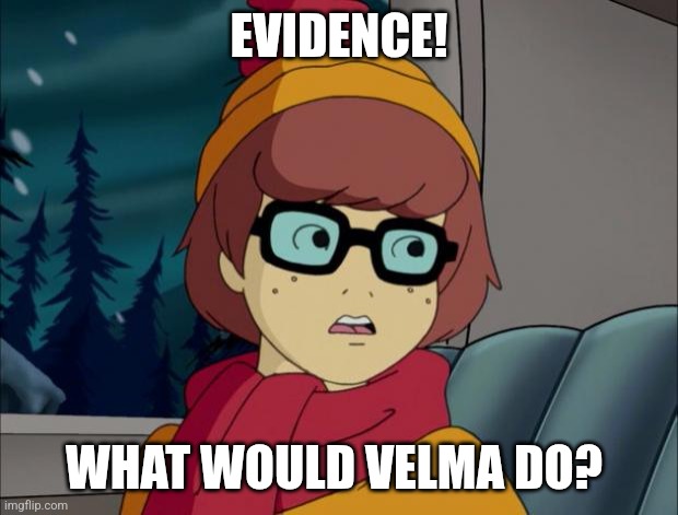 Velma detective | EVIDENCE! WHAT WOULD VELMA DO? | image tagged in pedantic velma | made w/ Imgflip meme maker