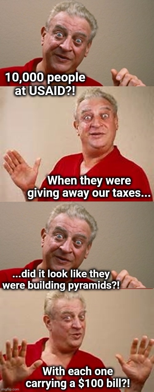 10,000 people at USAID?! | 10,000 people at USAID?! When they were giving away our taxes... ...did it look like they
were building pyramids?! With each one carrying a $100 bill?! | image tagged in bad pun rodney dangerfield,memes,usaid,corruption,democrats,wasteful government spending | made w/ Imgflip meme maker