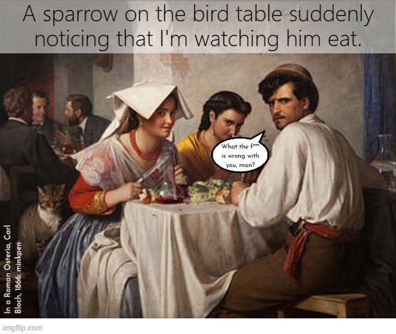 Yeh | image tagged in artmemes,art memes,birds,birdfeeder,vegan,food | made w/ Imgflip meme maker