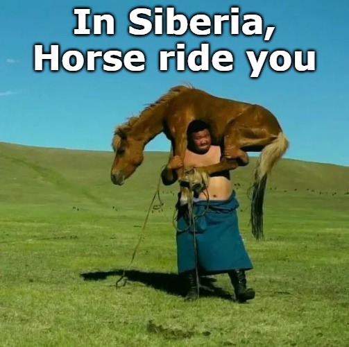 wait..these are not my glasses | In Siberia, Horse ride you | image tagged in tag | made w/ Imgflip meme maker