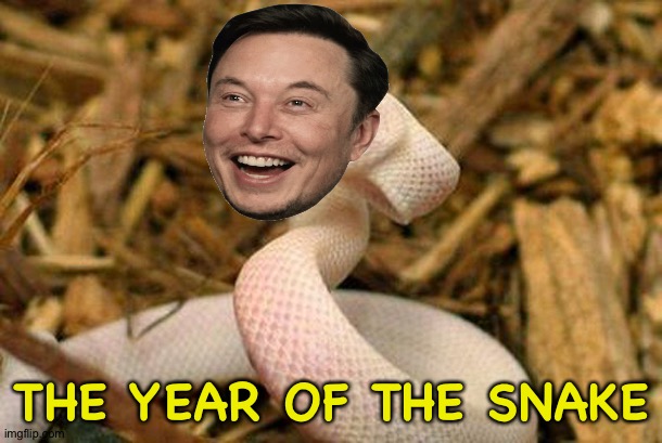 Year of Snek | THE YEAR OF THE SNAKE | image tagged in happy snake | made w/ Imgflip meme maker