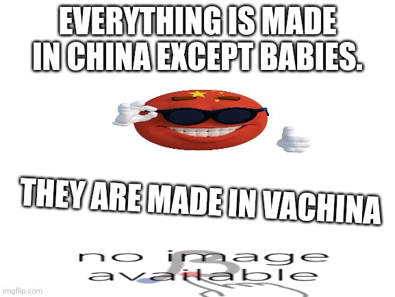 Blank White Template | EVERYTHING IS MADE IN CHINA EXCEPT BABIES. THEY ARE MADE IN VACHINA | image tagged in blank white template | made w/ Imgflip meme maker