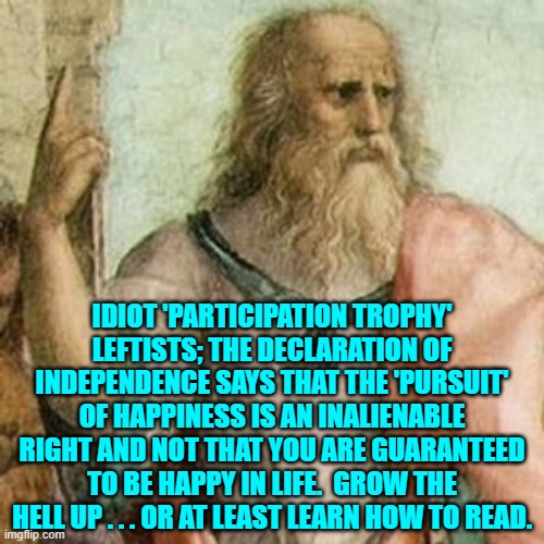 Just a thought.  This is what the U.S. 'educational' system has done to education. | IDIOT 'PARTICIPATION TROPHY' LEFTISTS; THE DECLARATION OF INDEPENDENCE SAYS THAT THE 'PURSUIT' OF HAPPINESS IS AN INALIENABLE RIGHT AND NOT THAT YOU ARE GUARANTEED TO BE HAPPY IN LIFE.  GROW THE HELL UP . . . OR AT LEAST LEARN HOW TO READ. | image tagged in philosopher | made w/ Imgflip meme maker