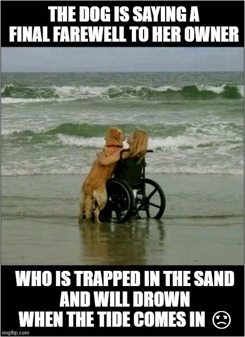 A Sad Last Day At The Seaside | THE DOG IS SAYING A FINAL FAREWELL TO HER OWNER; WHO IS TRAPPED IN THE SAND
 AND WILL DROWN 
WHEN THE TIDE COMES IN  ☹ | image tagged in wheelchair,tide,dog,farewell,drowning,dark humour | made w/ Imgflip meme maker