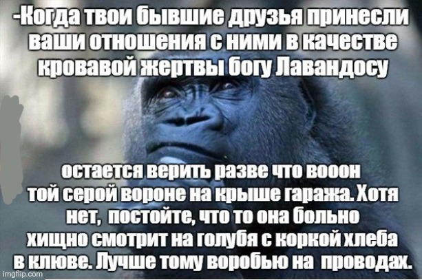 -The animalistic trust. | image tagged in foreign policy,true love,overdose,trust nobody not even yourself,funny animals,thinking ape | made w/ Imgflip meme maker