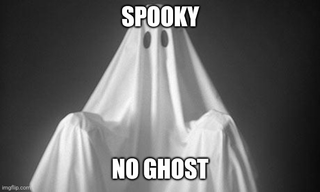 Spooky no ghost | SPOOKY; NO GHOST | image tagged in ghost | made w/ Imgflip meme maker