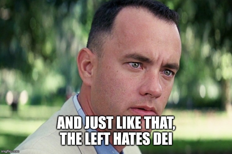 And Just Like That Meme | AND JUST LIKE THAT,  THE LEFT HATES DEI | image tagged in memes,and just like that | made w/ Imgflip meme maker