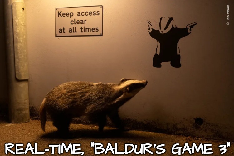 When Gaming Gets Real | REAL-TIME, "BALDUR'S GAME 3" | image tagged in badger,gaming | made w/ Imgflip meme maker