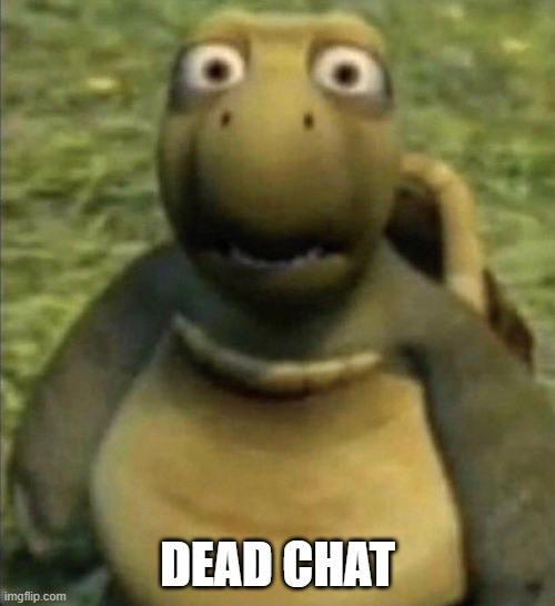 goofy ahh turtle | DEAD CHAT | image tagged in goofy ahh turtle | made w/ Imgflip meme maker