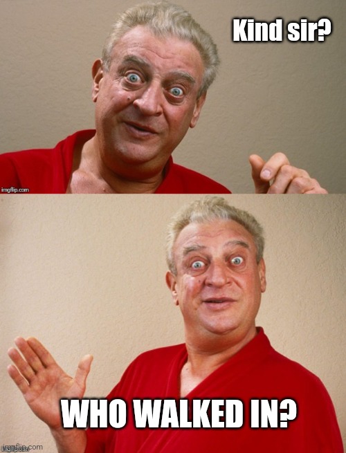 Rodney Dangerfield | Kind sir? WHO WALKED IN? | image tagged in rodney dangerfield | made w/ Imgflip meme maker