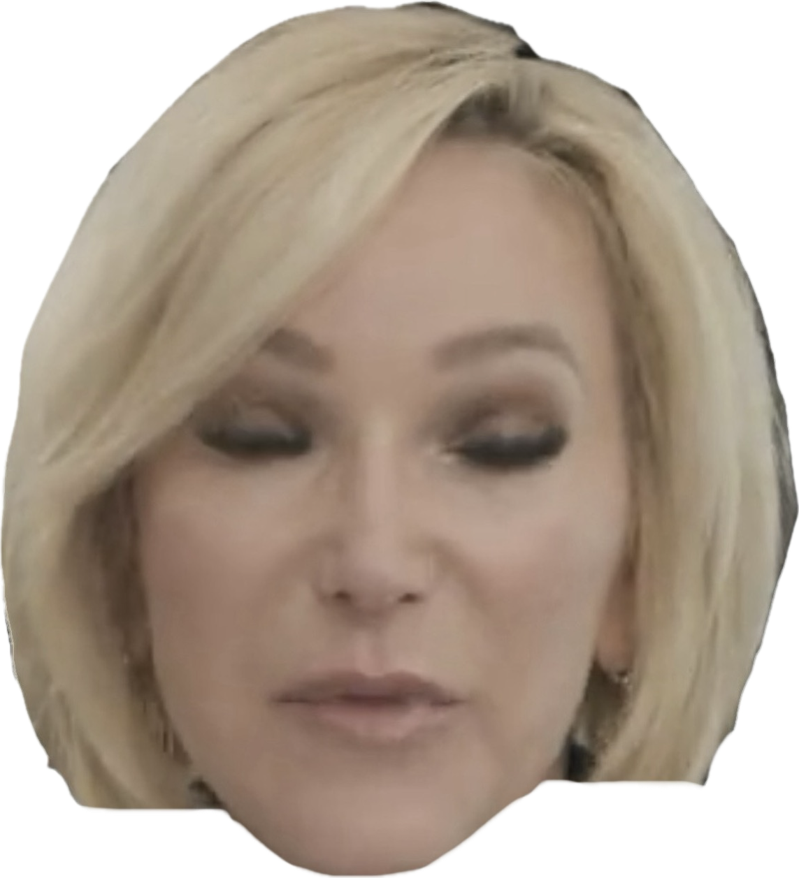 Paula White Blank Meme Template