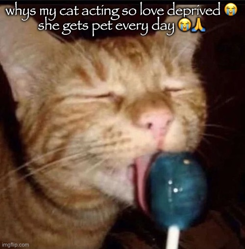 silly goober 2 | whys my cat acting so love deprived 😭
she gets pet every day 😭🙏 | image tagged in silly goober 2 | made w/ Imgflip meme maker