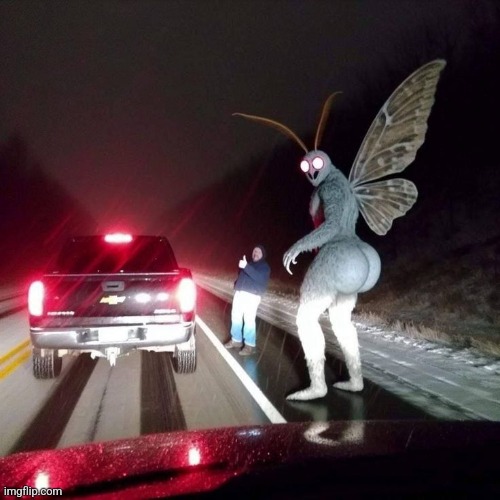 Thicc ahh moth | image tagged in mothman,thicc,shitpost | made w/ Imgflip meme maker