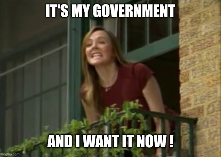 It's my money and I need it now! | IT'S MY GOVERNMENT AND I WANT IT NOW ! | image tagged in it's my money and i need it now | made w/ Imgflip meme maker