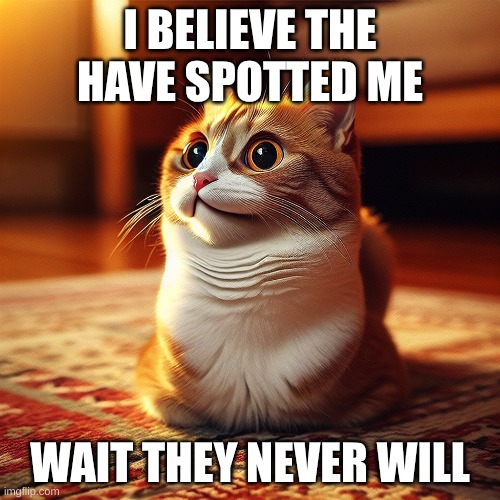 Funny cat be like | I BELIEVE THE HAVE SPOTTED ME; WAIT THEY NEVER WILL | image tagged in cat,face | made w/ Imgflip meme maker