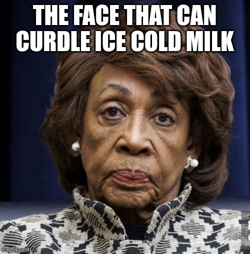 maxine waters meme | THE FACE THAT CAN CURDLE ICE COLD MILK | image tagged in ugly face | made w/ Imgflip meme maker