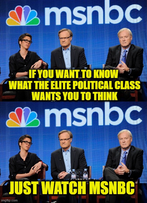 All government propaganda all of the time | IF YOU WANT TO KNOW 
WHAT THE ELITE POLITICAL CLASS
WANTS YOU TO THINK; JUST WATCH MSNBC | image tagged in biased media | made w/ Imgflip meme maker