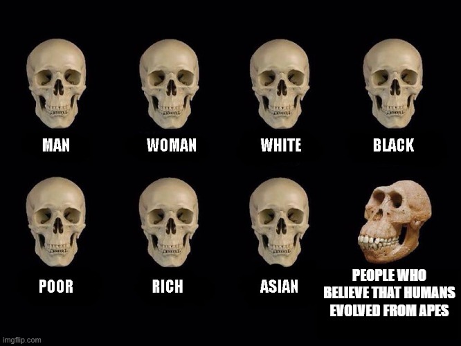 empty skulls of truth | PEOPLE WHO BELIEVE THAT HUMANS EVOLVED FROM APES | image tagged in empty skulls of truth,human evolution,adam and eve,islam,christianity,judaism | made w/ Imgflip meme maker