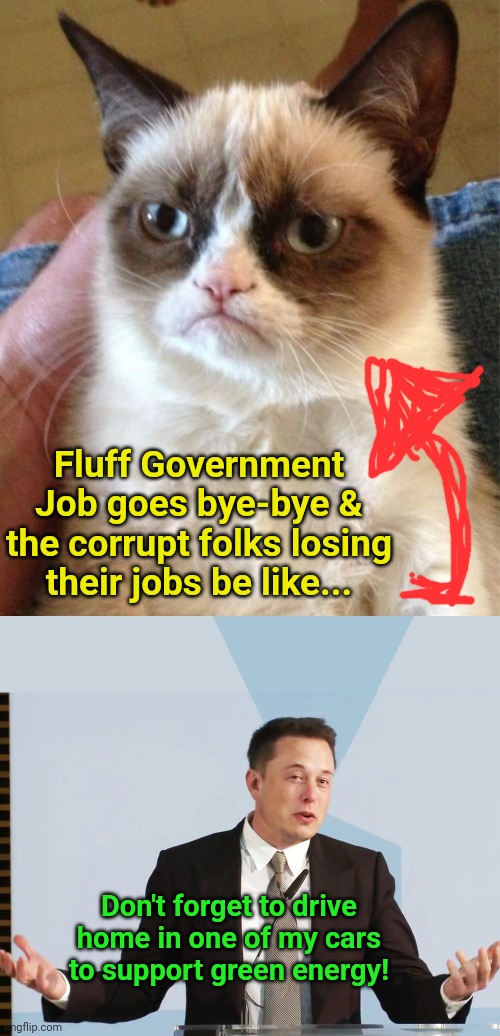 Fluff Government Job goes bye-bye & the corrupt folks losing their jobs be like... Don't forget to drive home in one of my cars to support green energy! | image tagged in memes,grumpy cat,elon musk | made w/ Imgflip meme maker