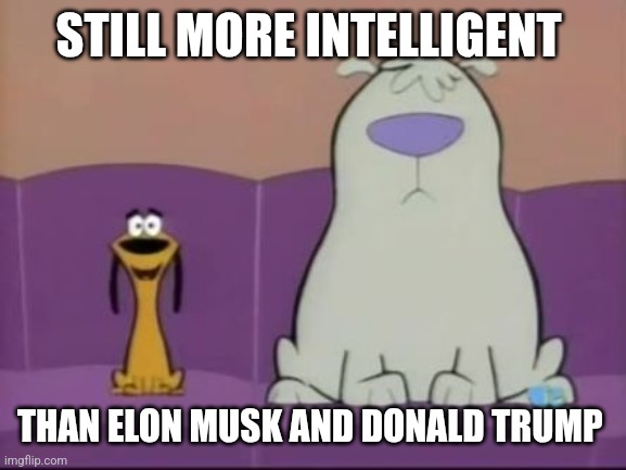 Still more intelligent | STILL MORE INTELLIGENT; THAN ELON MUSK AND DONALD TRUMP | image tagged in 2 stupid dogs,memes,left wing,donald trump,elon musk | made w/ Imgflip meme maker