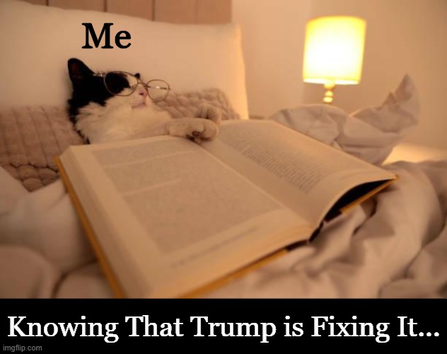 Thank goodness for Donald J. Trump! | Me; Knowing That Trump is Fixing It... | image tagged in happy cat,righting the wrongs,fix,professionals have standards,we the people,liberalism is a mental disorder | made w/ Imgflip meme maker