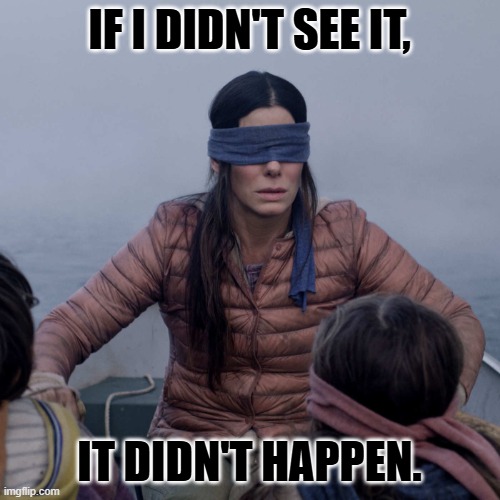 Bird Box Meme | IF I DIDN'T SEE IT, IT DIDN'T HAPPEN. | image tagged in memes,bird box | made w/ Imgflip meme maker