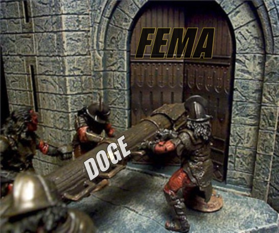 DOGE vs FEMA next | FEMA; DOGE | image tagged in doge,fema,corruption,obliteration | made w/ Imgflip meme maker