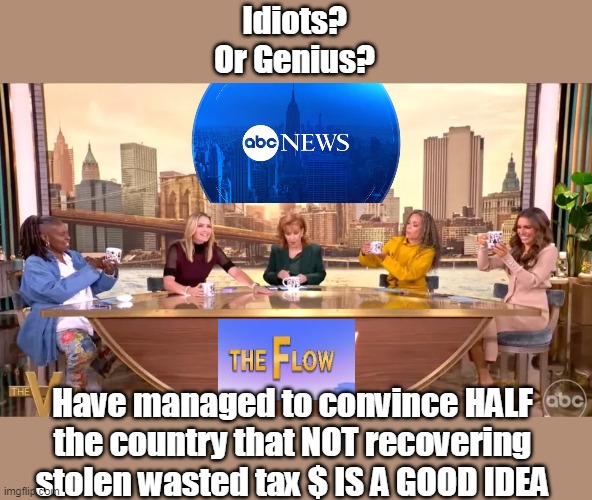 Of Course, it IS Idiots leading IDIOTS so... | Idiots?
Or Genius? Have managed to convince HALF the country that NOT recovering stolen wasted tax $ IS A GOOD IDEA | image tagged in the view idiots or genius meme | made w/ Imgflip meme maker