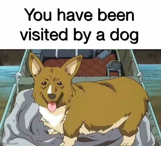 good boy | image tagged in cowboy bebop | made w/ Imgflip meme maker