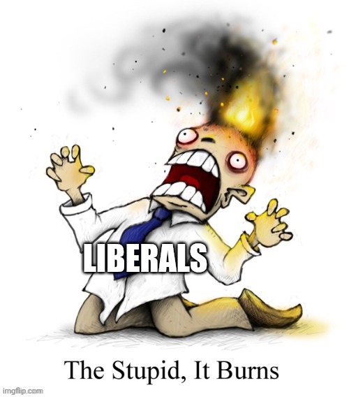 LIBERALS | made w/ Imgflip meme maker