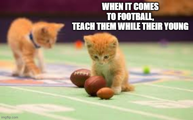 memes by Brad - Teach your cat about football when they are still young | WHEN IT COMES TO FOOTBALL, TEACH THEM WHILE THEIR YOUNG | image tagged in cats,funny,kittens,football,super bowl,humor | made w/ Imgflip meme maker