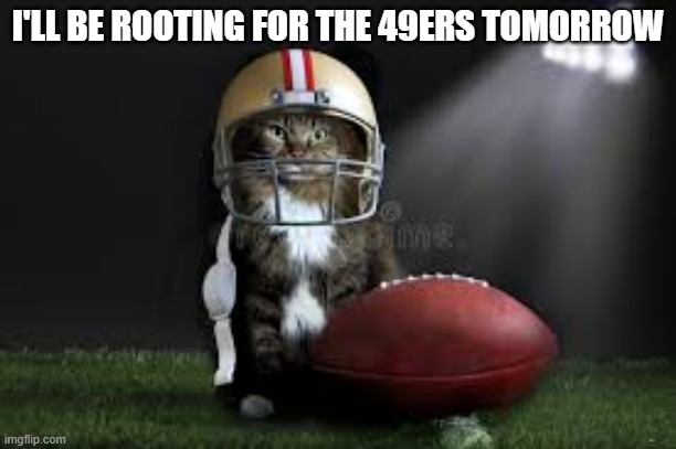 memes by Brad - Cat is rooting for the San Francisco 49er's for the Super Bowl | I'LL BE ROOTING FOR THE 49ERS TOMORROW | image tagged in cats,funny,kittens,super bowl,san francisco 49ers,nfl football | made w/ Imgflip meme maker